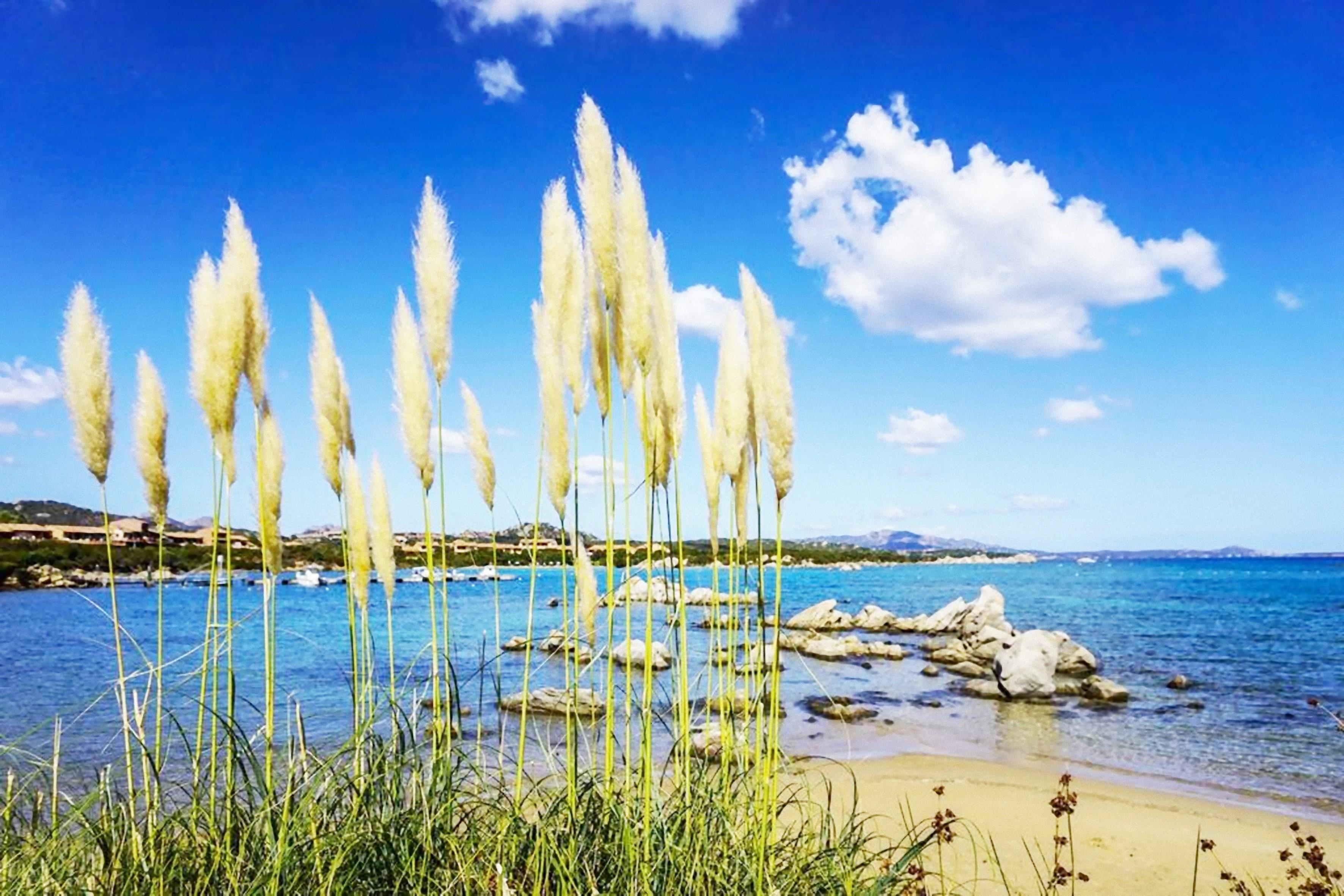 Baia De Bahas - Apartments & Resort Marinella  Exteriör bild