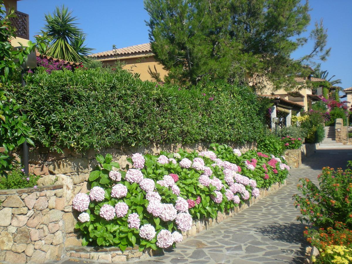 Baia De Bahas - Apartments & Resort Marinella  Exteriör bild