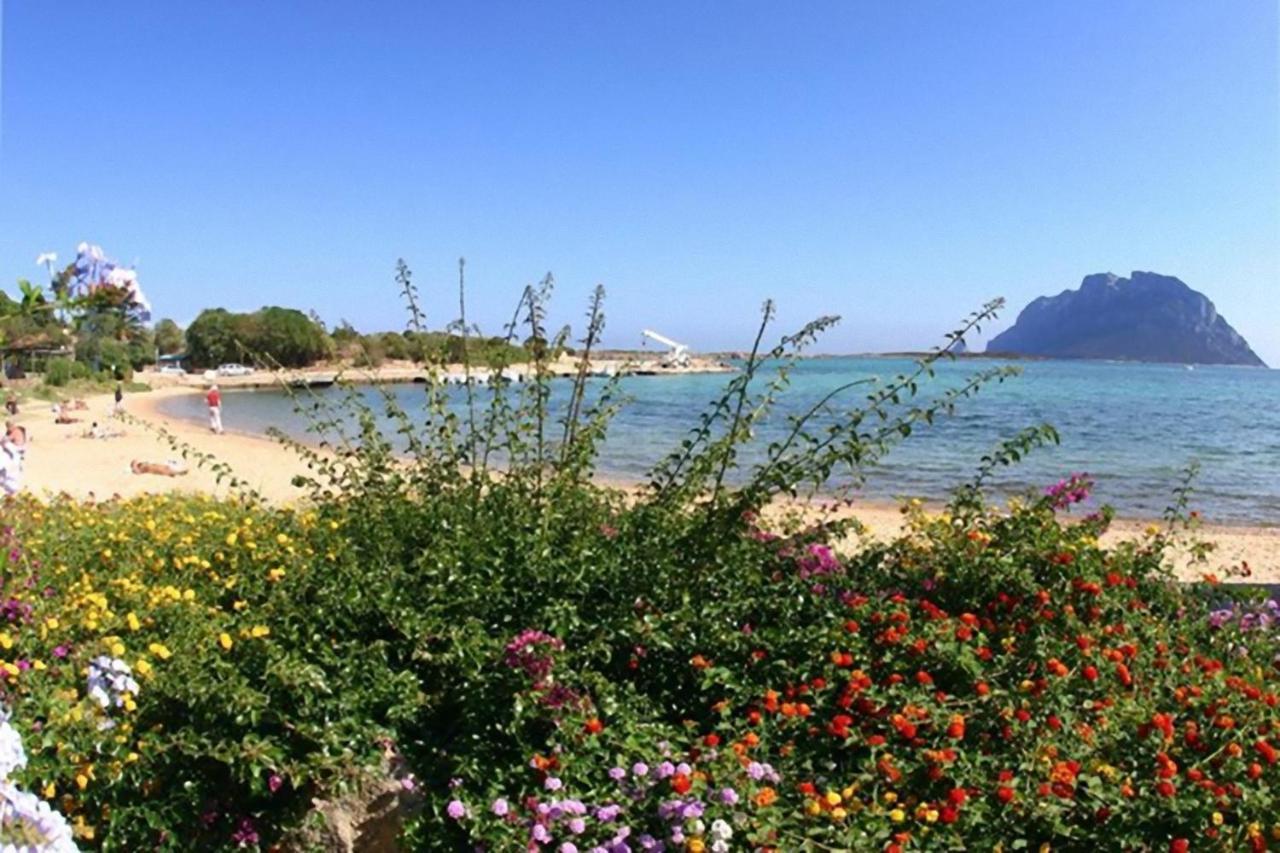 Baia De Bahas - Apartments & Resort Marinella  Exteriör bild